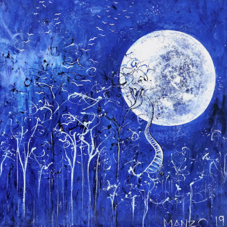 Fly Me To The Moon